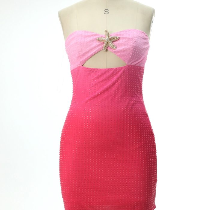 Dress (20)