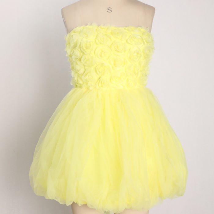 Formal Dresses (19)